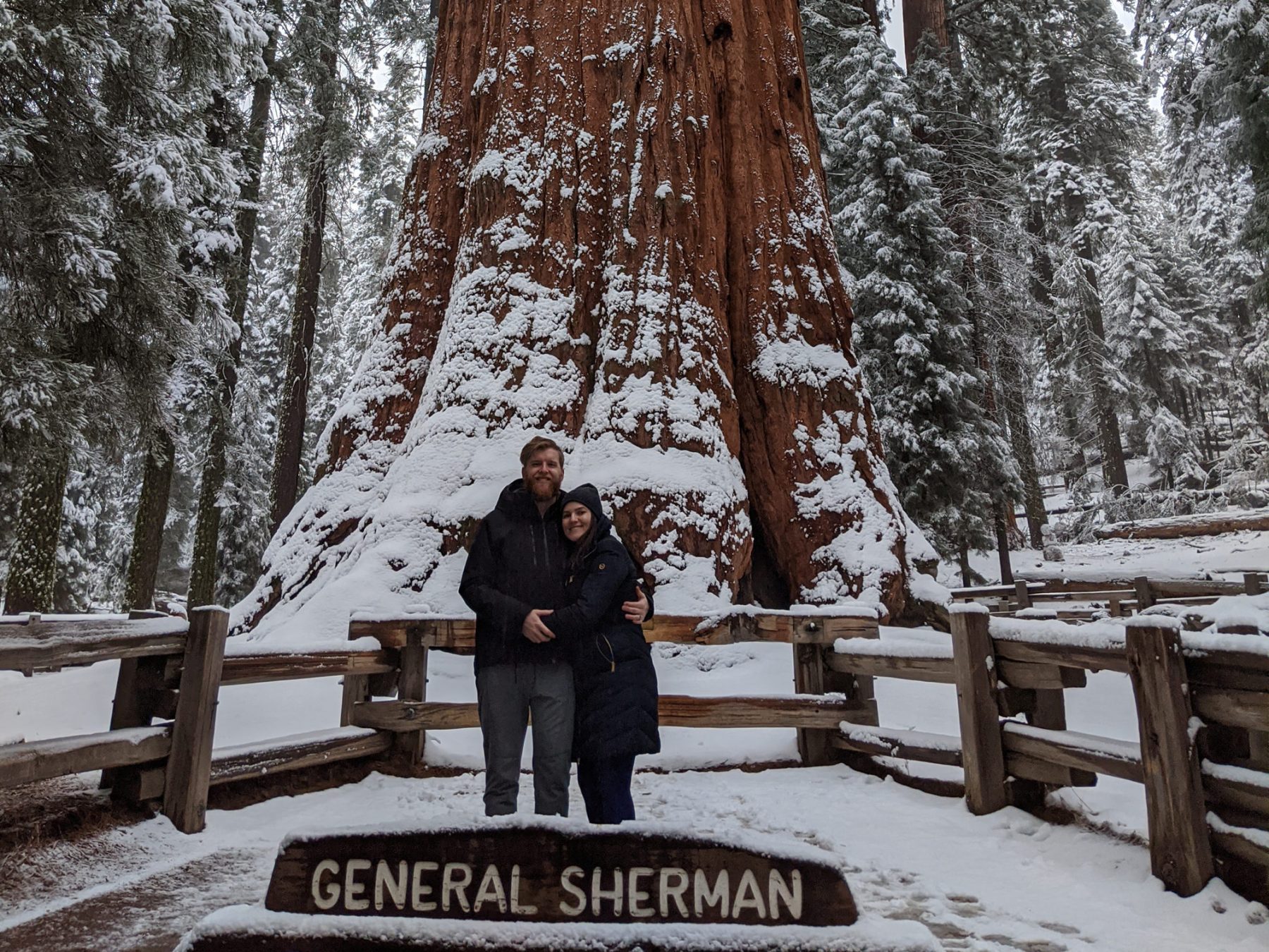 Sequoia National Park